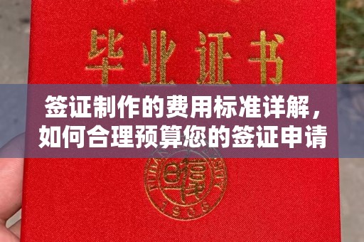 禹王台签证制作的费用标准详解，如何合理预算您的签证申请成本